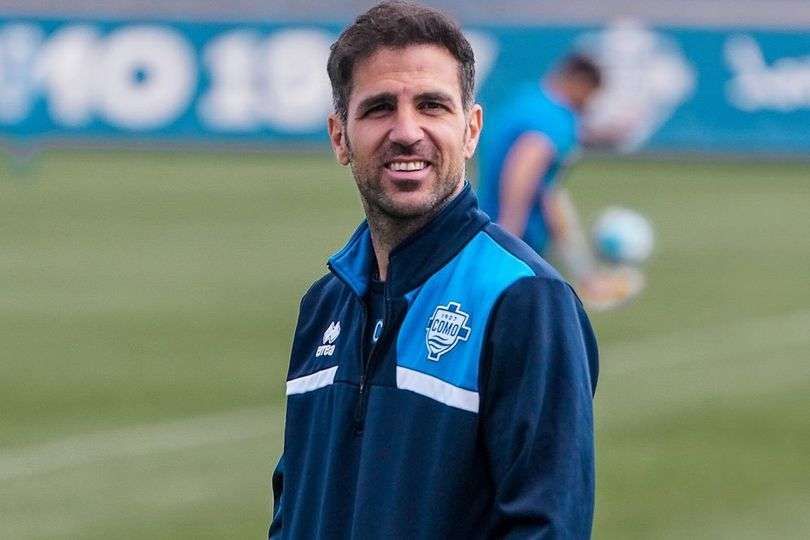 cesc fabregas
